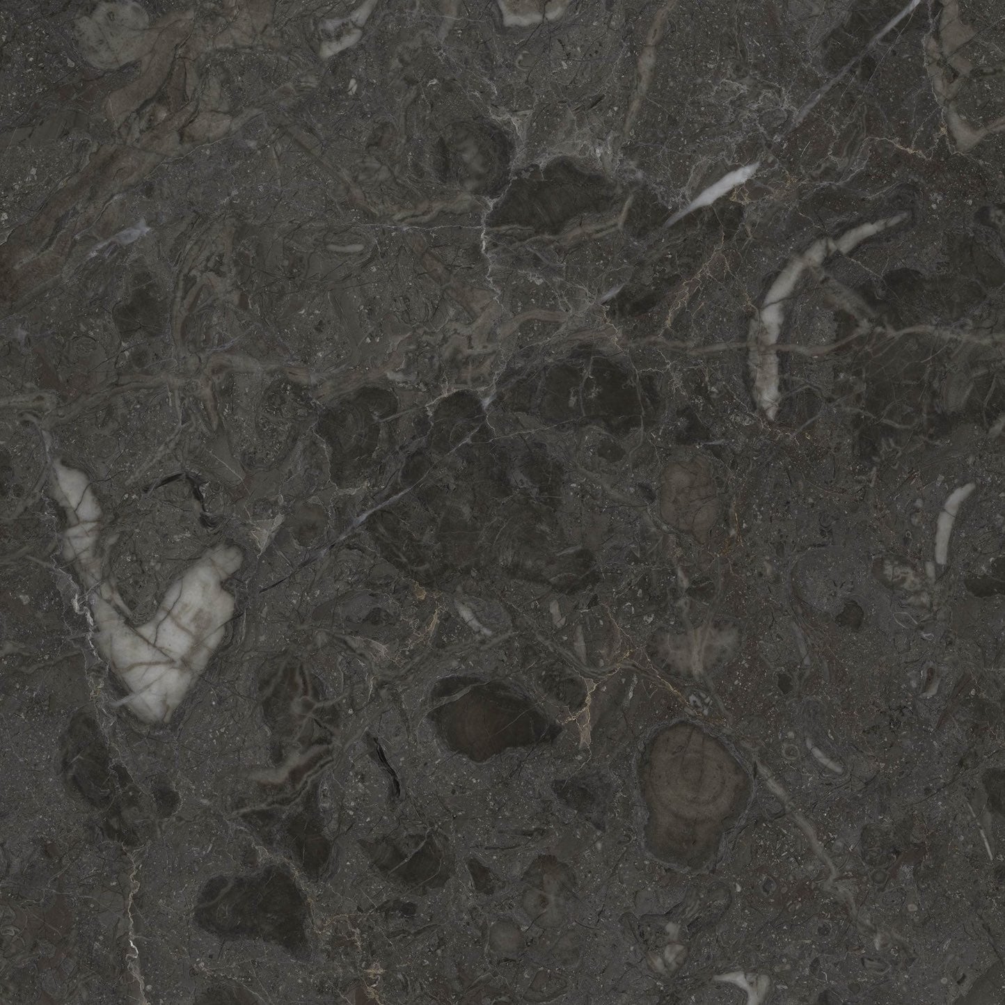 Cororo | Natural Limestone Textures | Digital Download