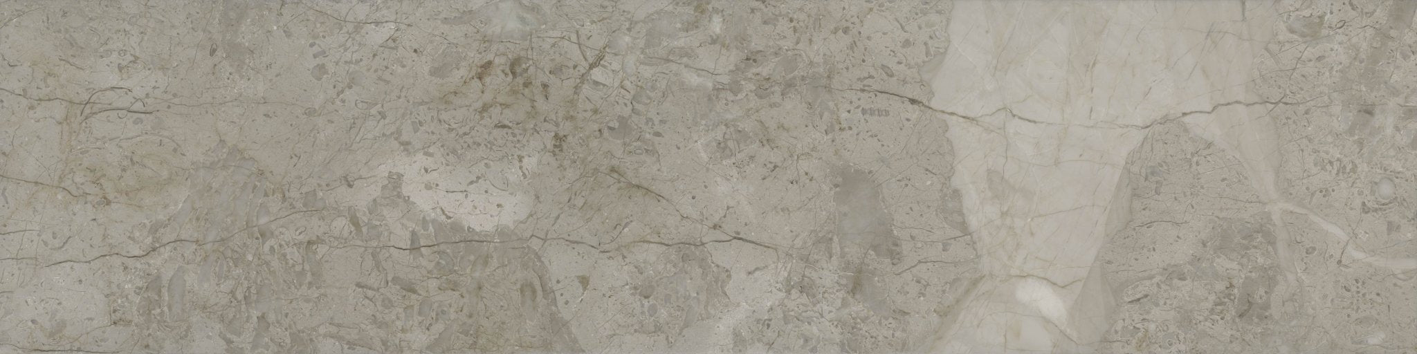 Downloadable high-resolution light grey stone texture set, displaying various views of its complex veining, mottling, and fossiliferous patterns, for digital printing systems.