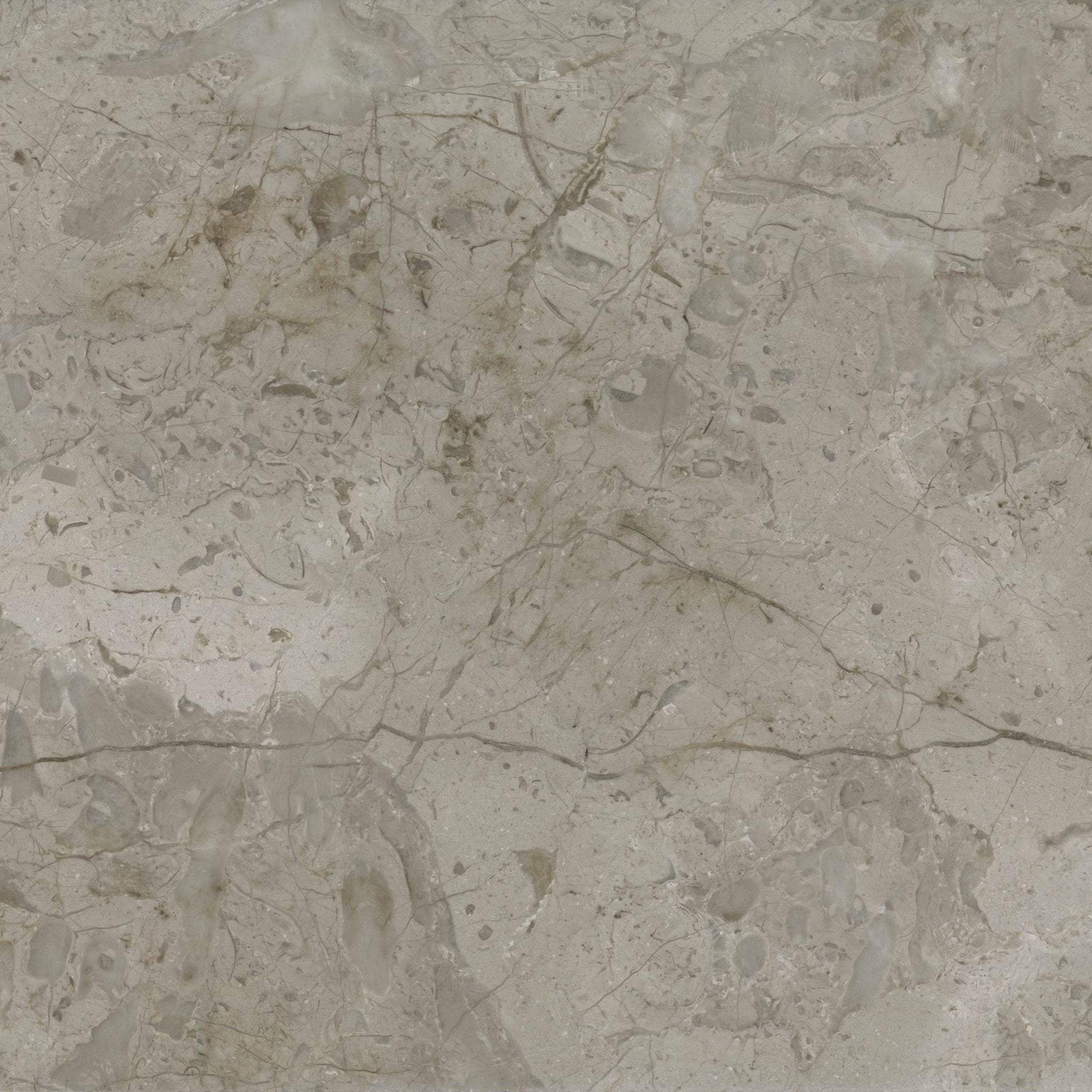 Downloadable high-resolution light grey stone image, featuring a complex pattern of veining, mottling, and subtle fossil-like details, for digital printing systems.