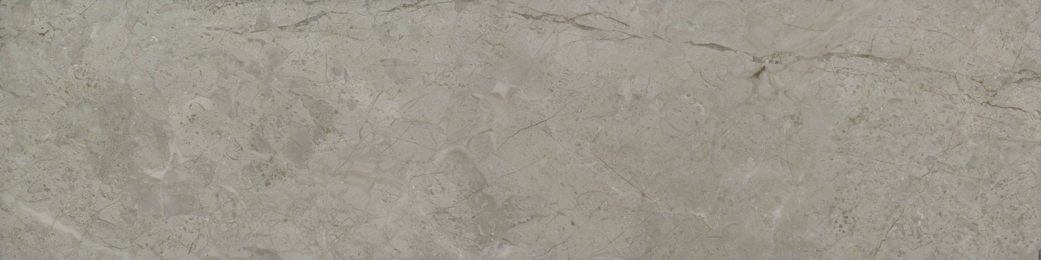 Downloadable high-resolution light grey stone texture set, displaying various views of its complex veining, mottling, and fossiliferous patterns, for digital printing systems.