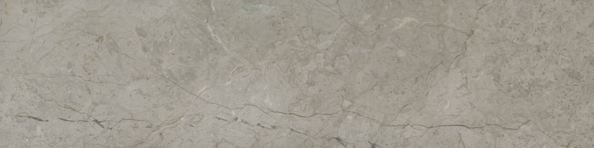 Downloadable high-resolution light grey stone texture set, displaying various views of its complex veining, mottling, and fossiliferous patterns, for digital printing systems.