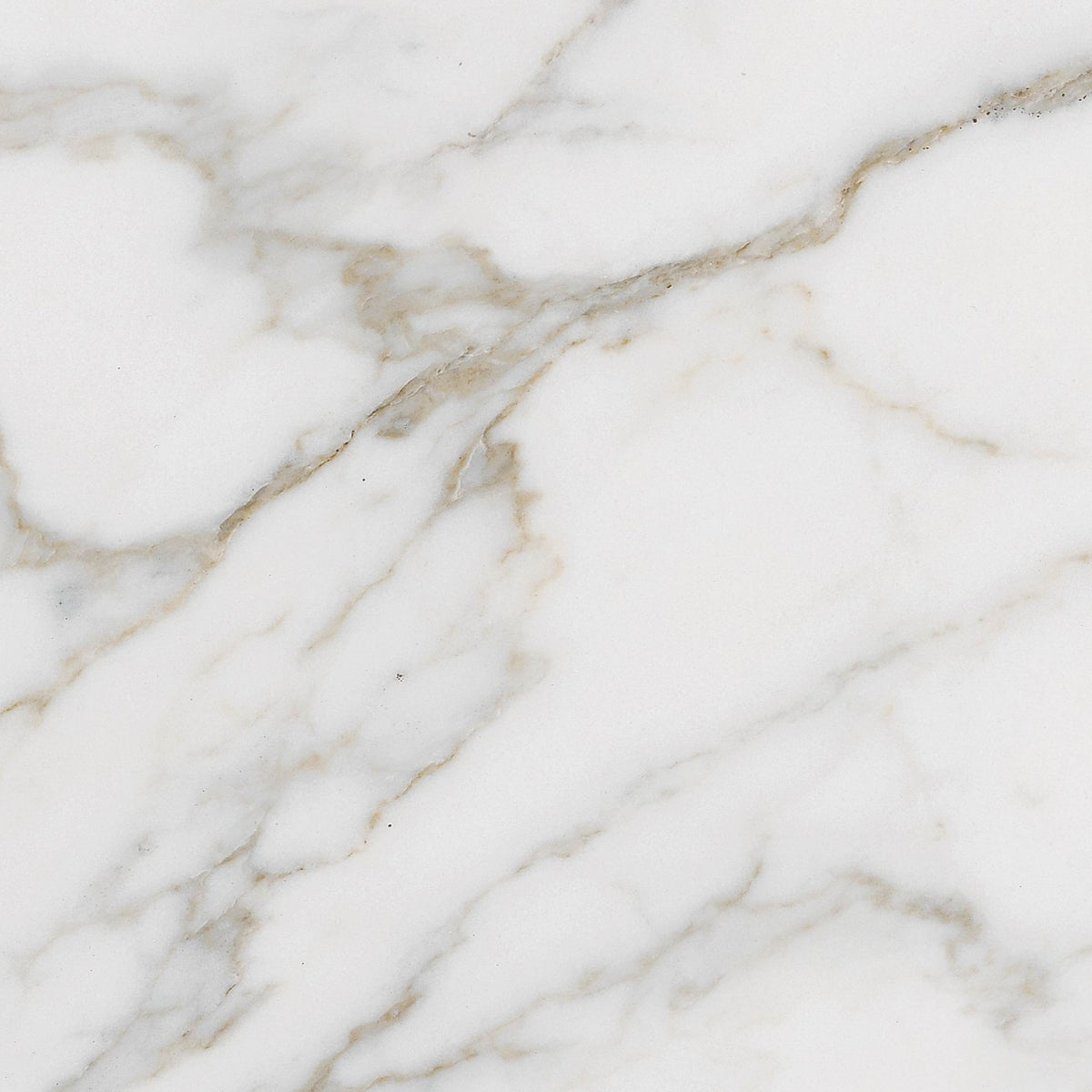 Subtle Calacatta Texture Cororo | Stunning Calacatta Textures | Digital Download