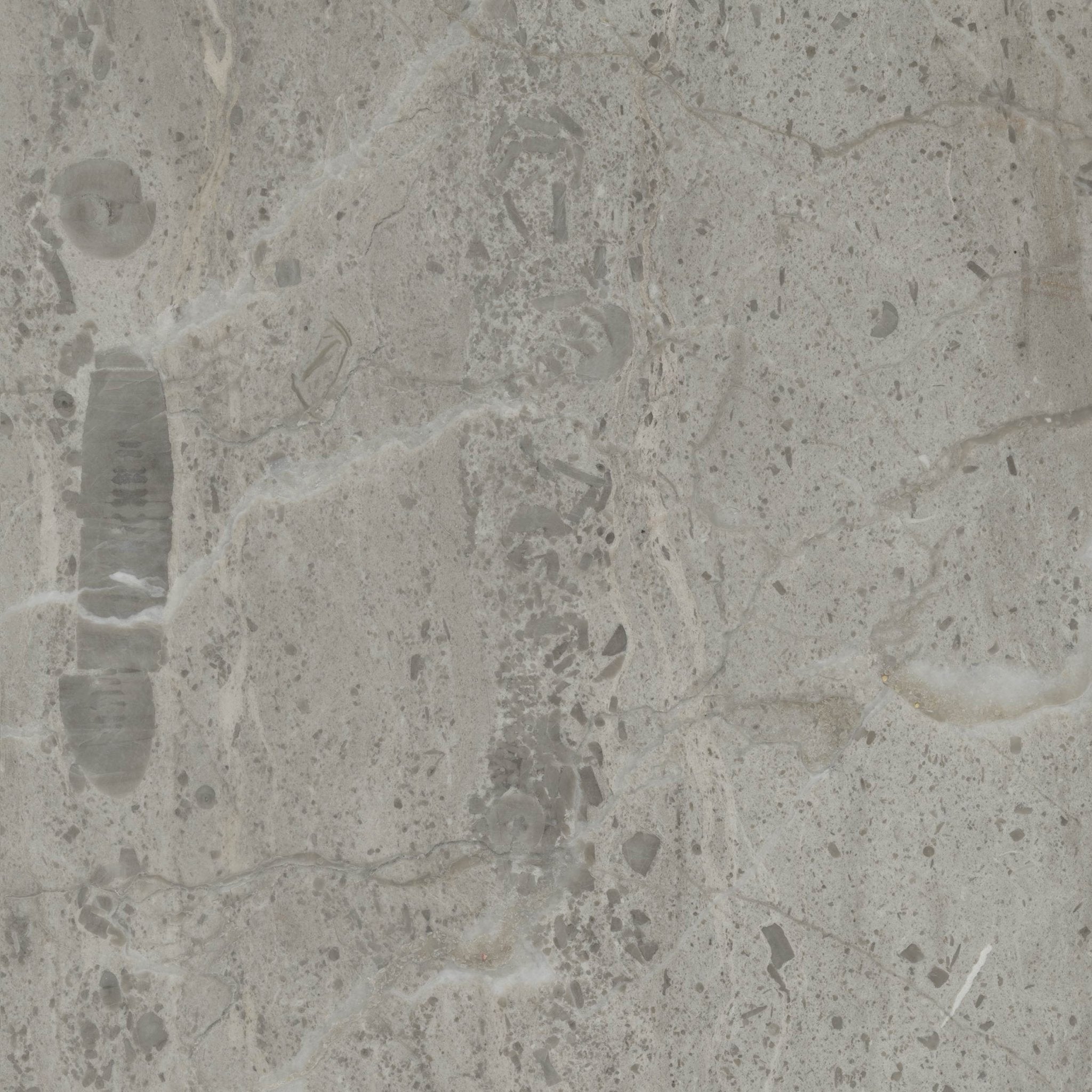 Downloadable high-resolution grey stone image, featuring a natural texture with visible fossil-like inclusions and subtle mottling, for digital printing systems.