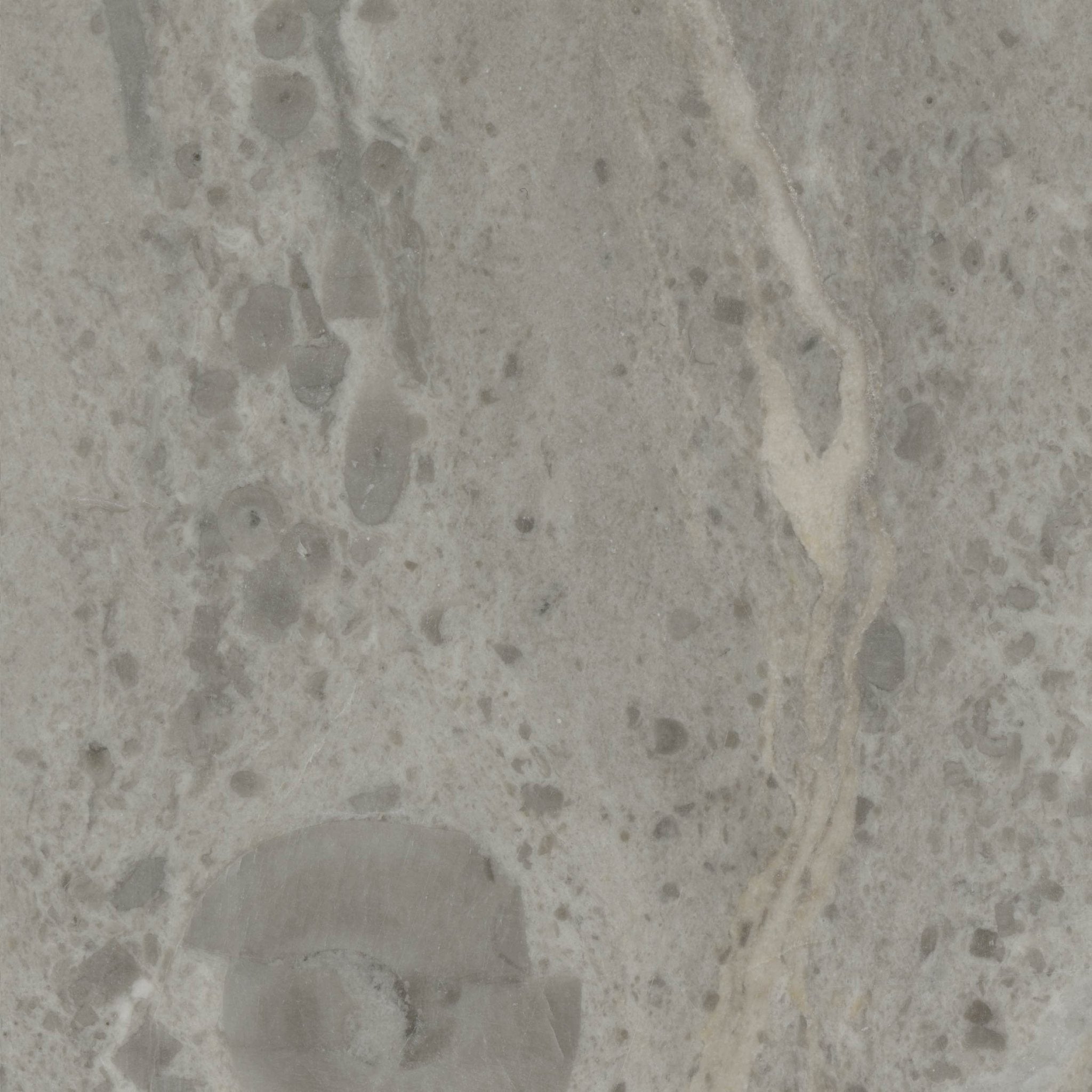 "Downloadable high-resolution grey stone image, close-up detail showing embedded fossil shapes, subtle veining, and its natural particulate texture, for digital printing systems.