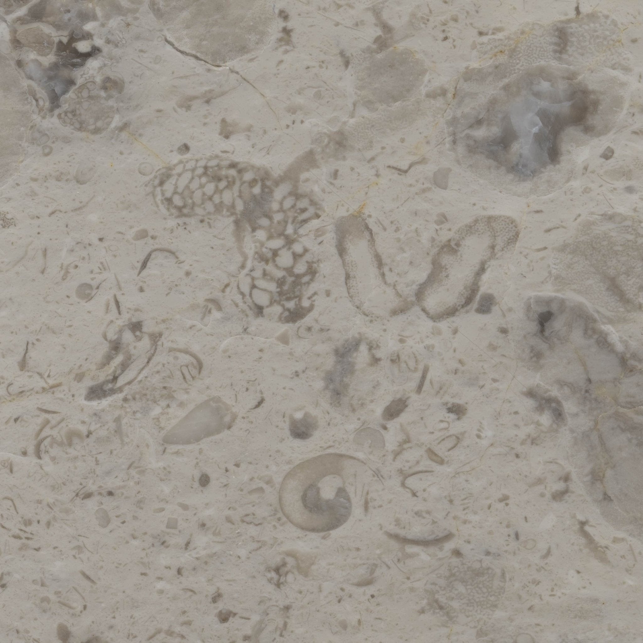 Caliza - High Resolution Natural Stone Images