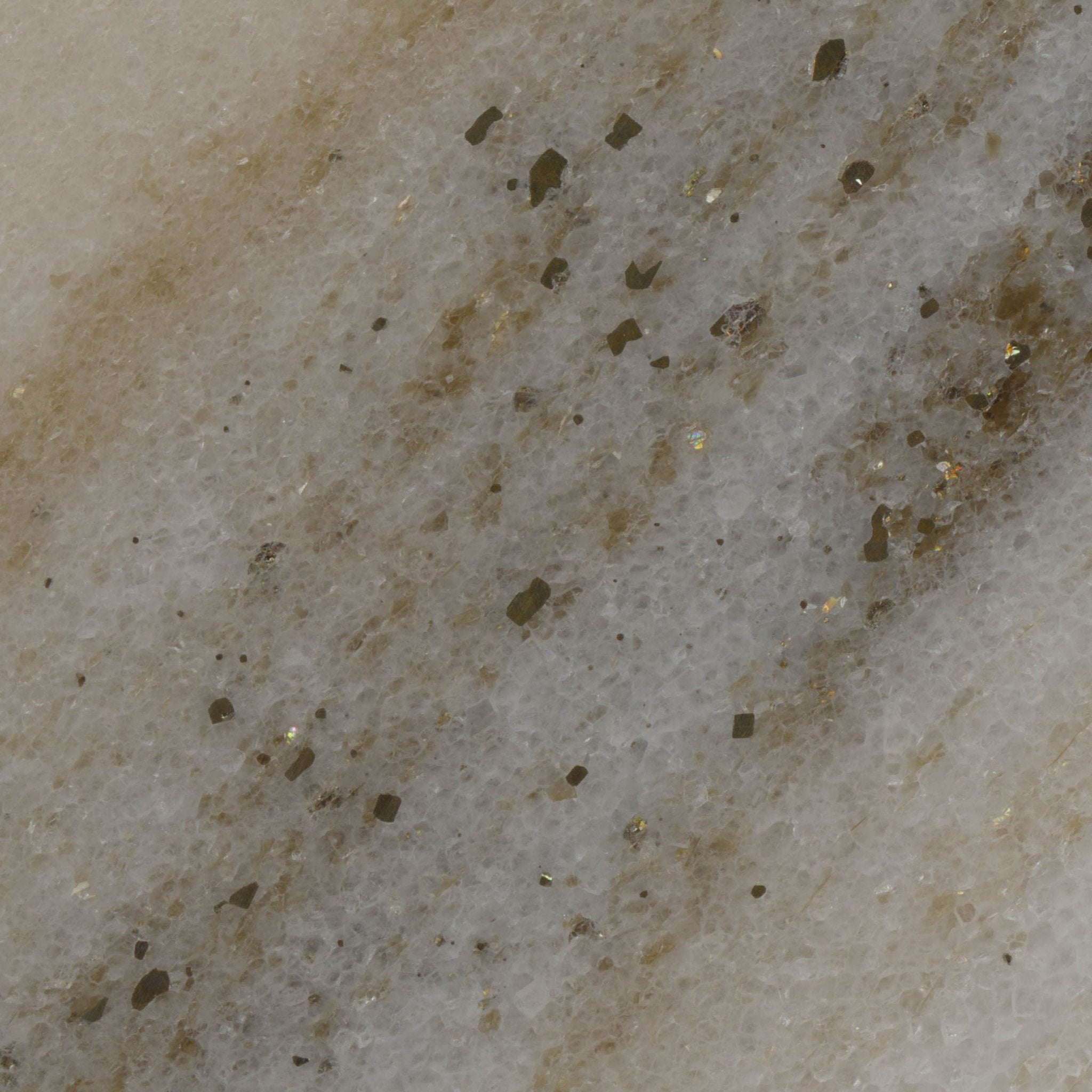 Downloadable high-resolution light-colored stone image, close-up detail of its directional veining with beige and grey tones and sparkling mineral inclusions, for digital printing systems.