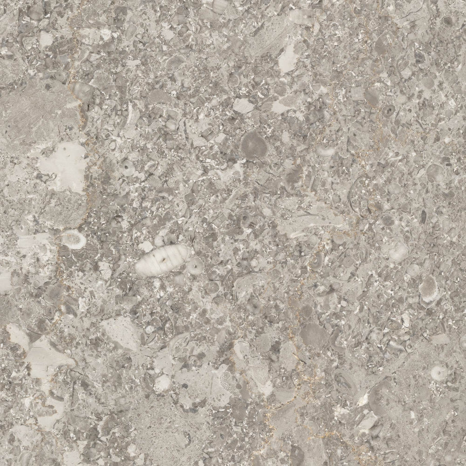 Forbo⏐High-Resolution Limestone Texture Design
