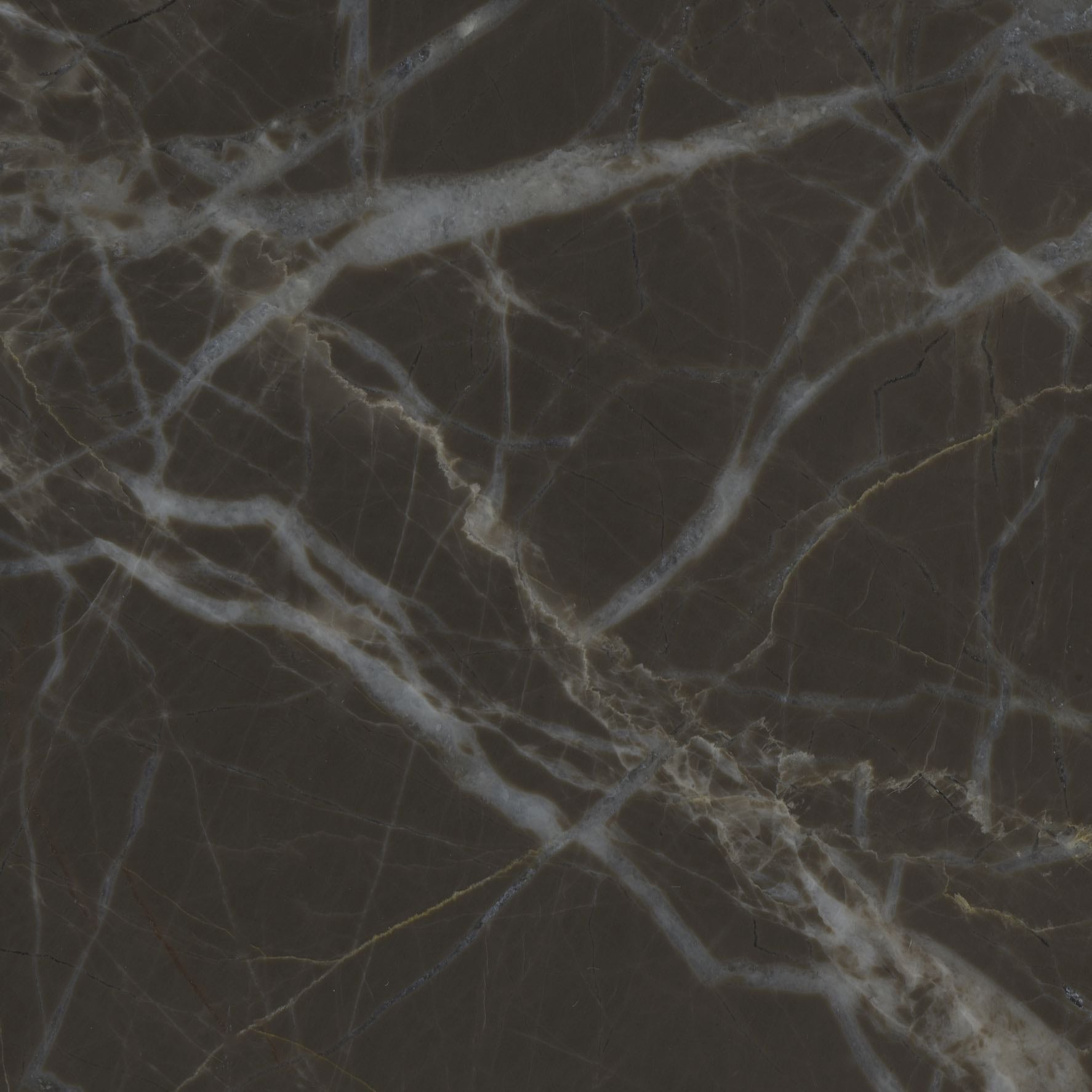 Downloadable high-resolution marble image, close-up detail of intricate white and fine gold veining on a dark brown background, for digital printing systems.