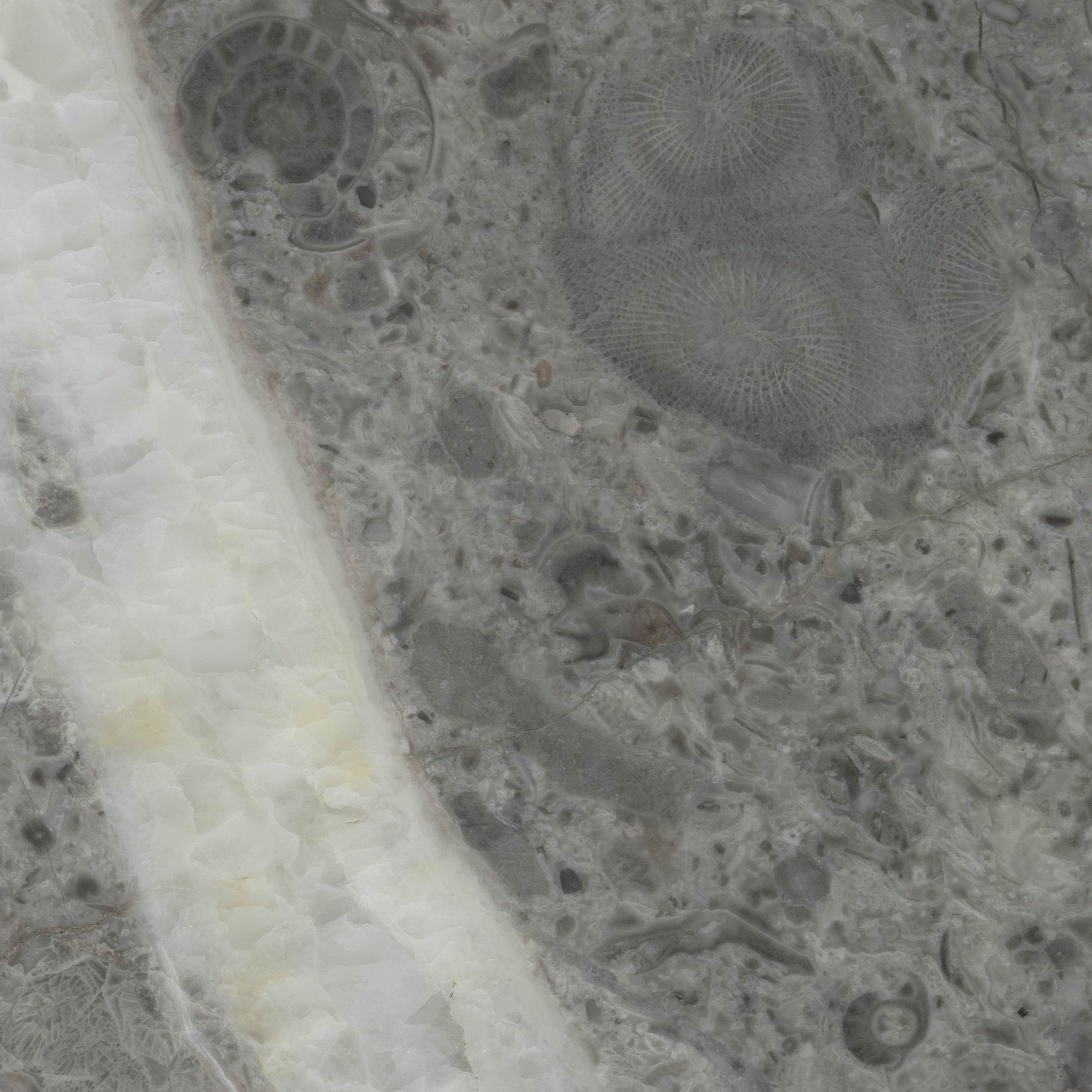 Tuono - High Resolution Natural Stone Images